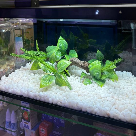 Avto-ozuqalagichli akvarium 28 l